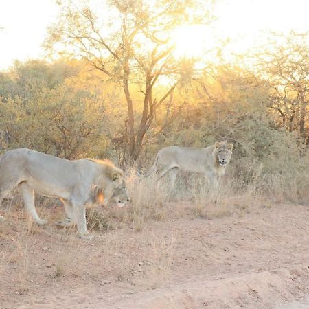 Kwalata Game Lodge Klipdrift Εξωτερικό φωτογραφία