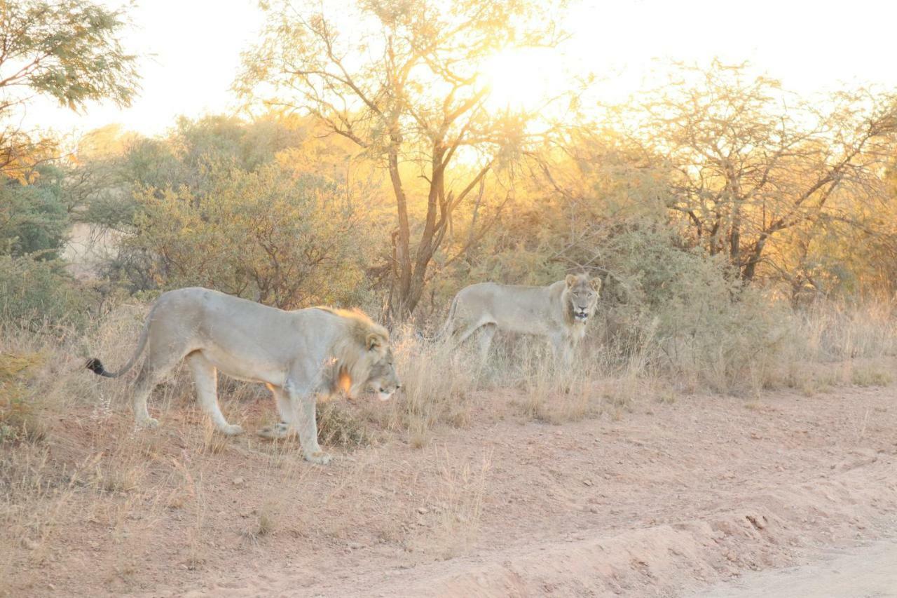 Kwalata Game Lodge Klipdrift Εξωτερικό φωτογραφία
