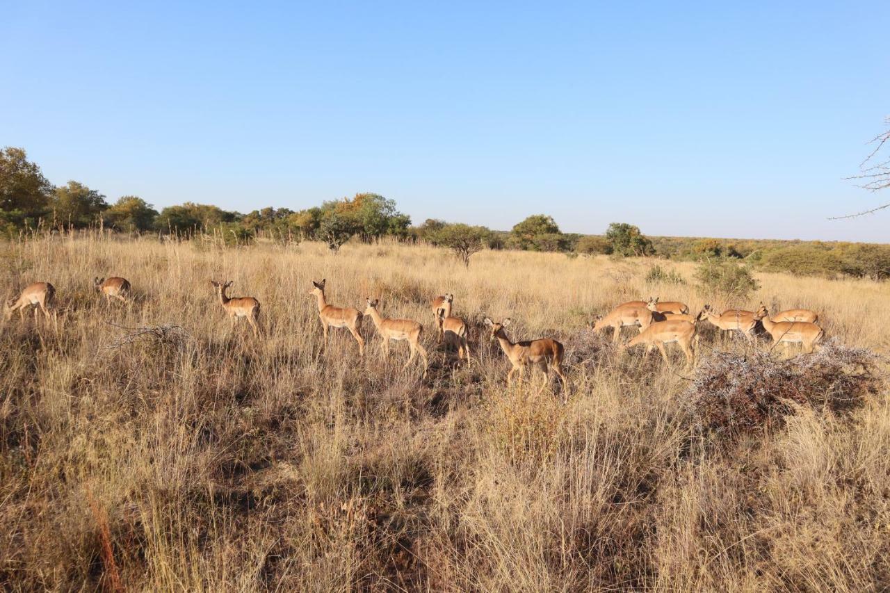 Kwalata Game Lodge Klipdrift Εξωτερικό φωτογραφία